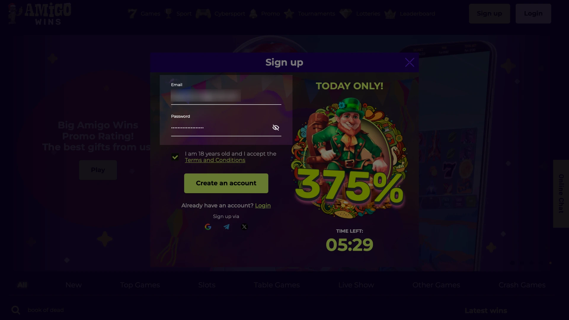 Enter email and password on the official Amigo wins website.