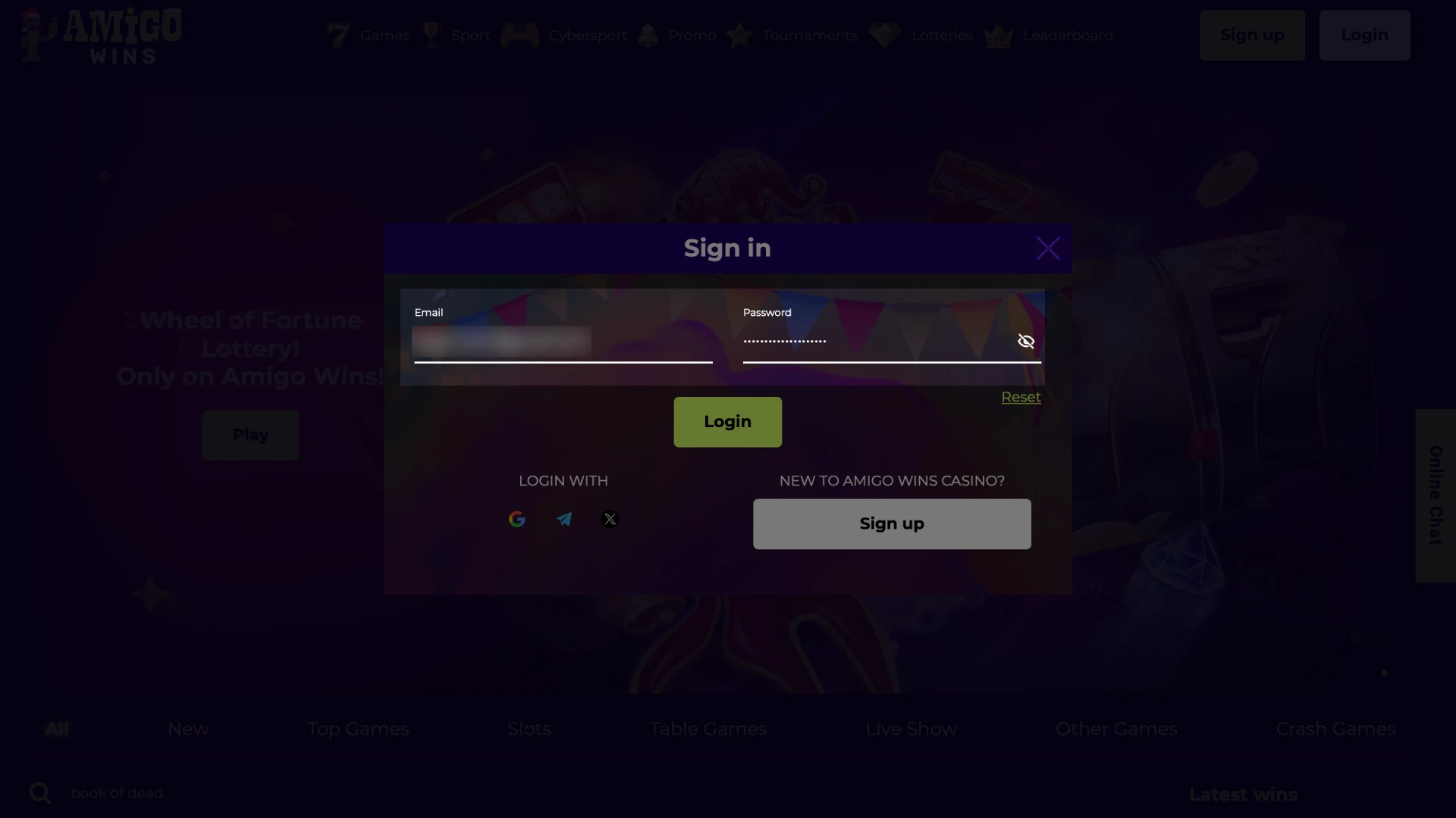 Use your email and password, or your chosen Amigo wins login method.